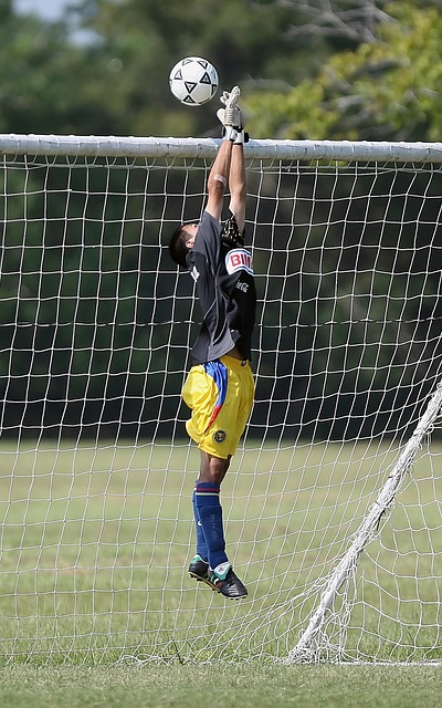 还引发了人 还引发了人