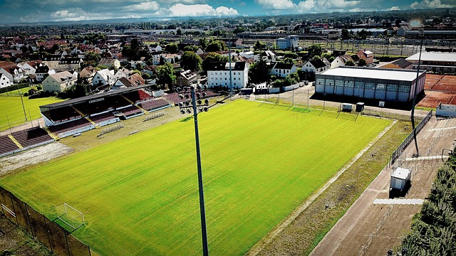 少年足球的 少年足球的