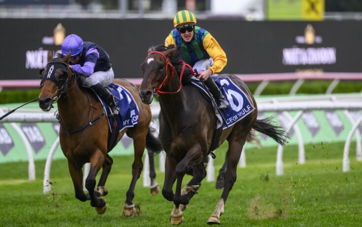 更別提穩固 更別提穩固